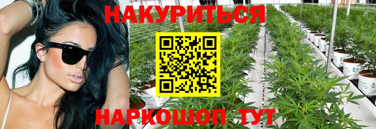 Каннабис THC 21% Камышлов
